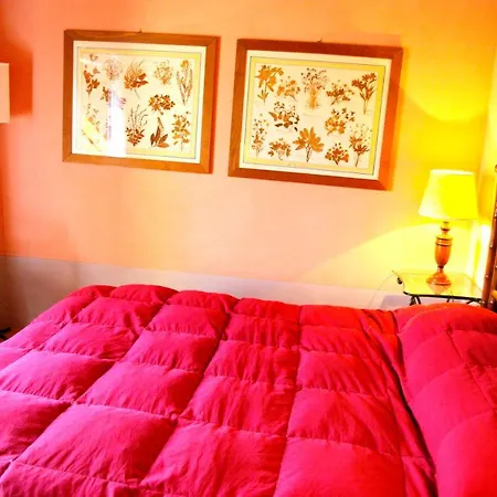 6 Bedrooms With Shared Pool Jacuzzi And Enclosed Garden At 4 Km Away From The Beach * Frontino